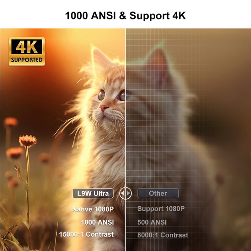 B63B-L9W โปรเจคเตอร์ขนาดเล็ก 4 - Home Cinema Mini บทวิจารณ์และราคา